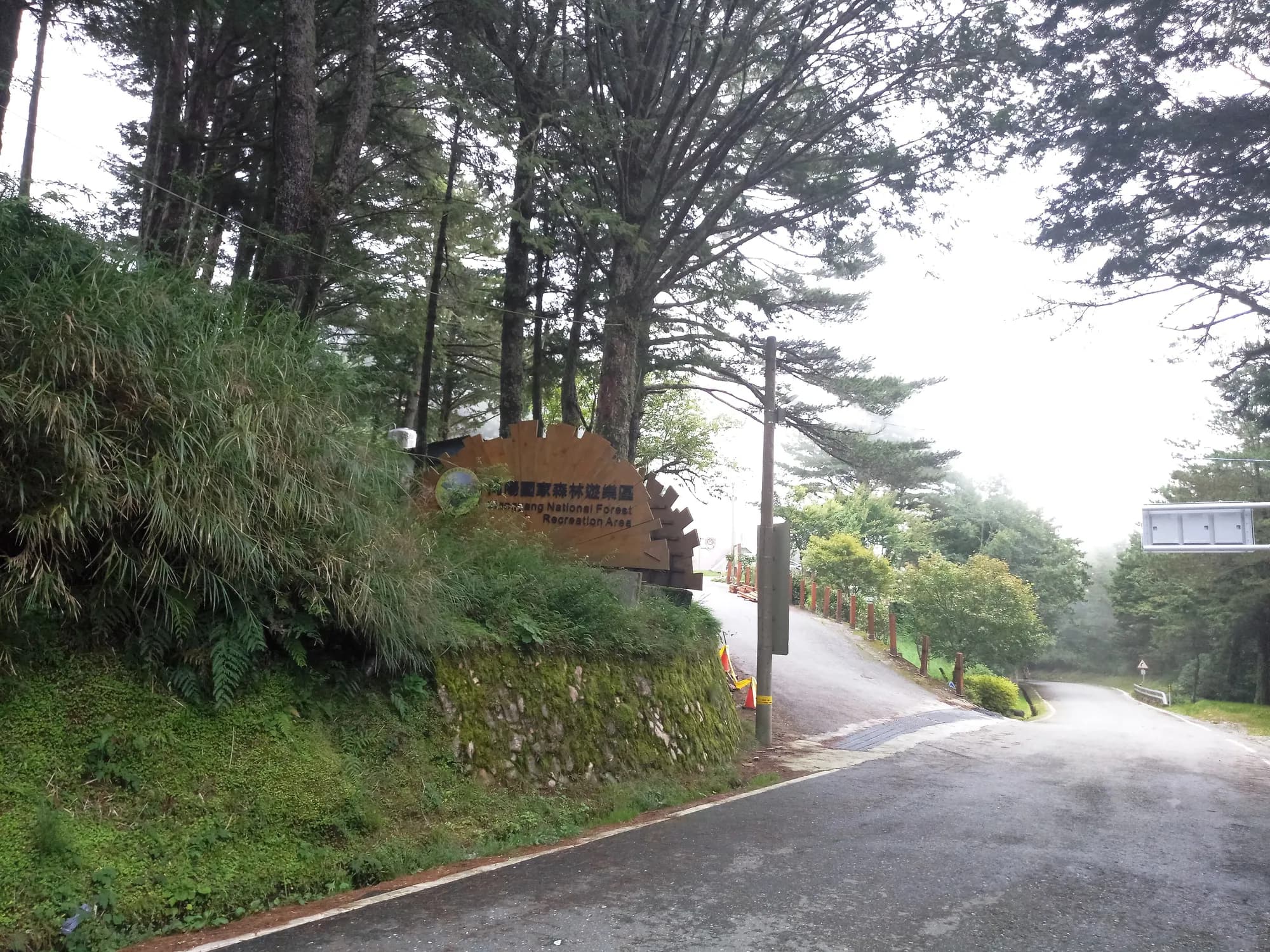 一條穿過山區森林的道路